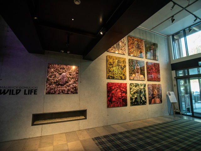 WILD LIFE Maurycy Gomulicki