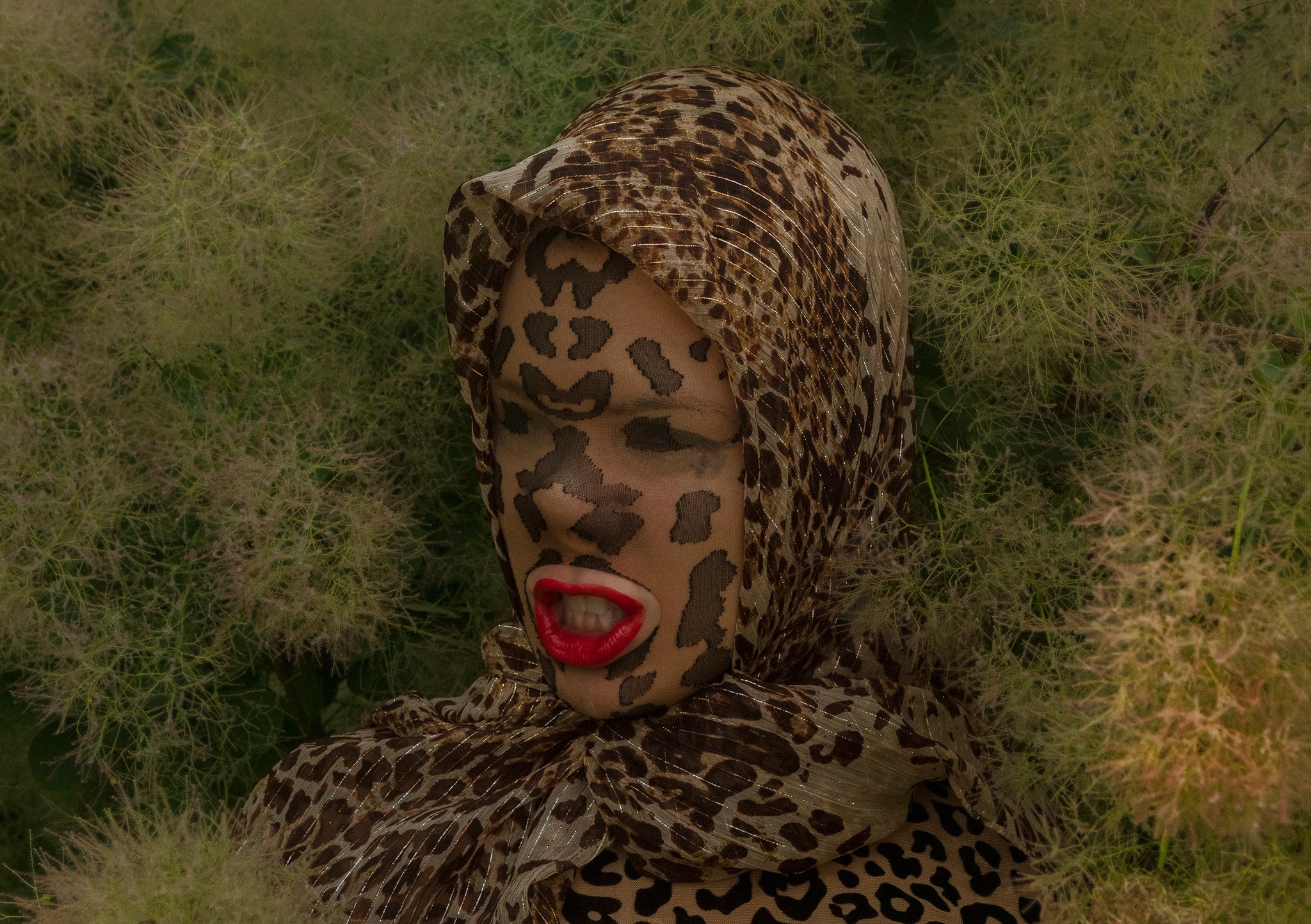 WILD LIFE Maurycy Gomulicki / zaproszenie