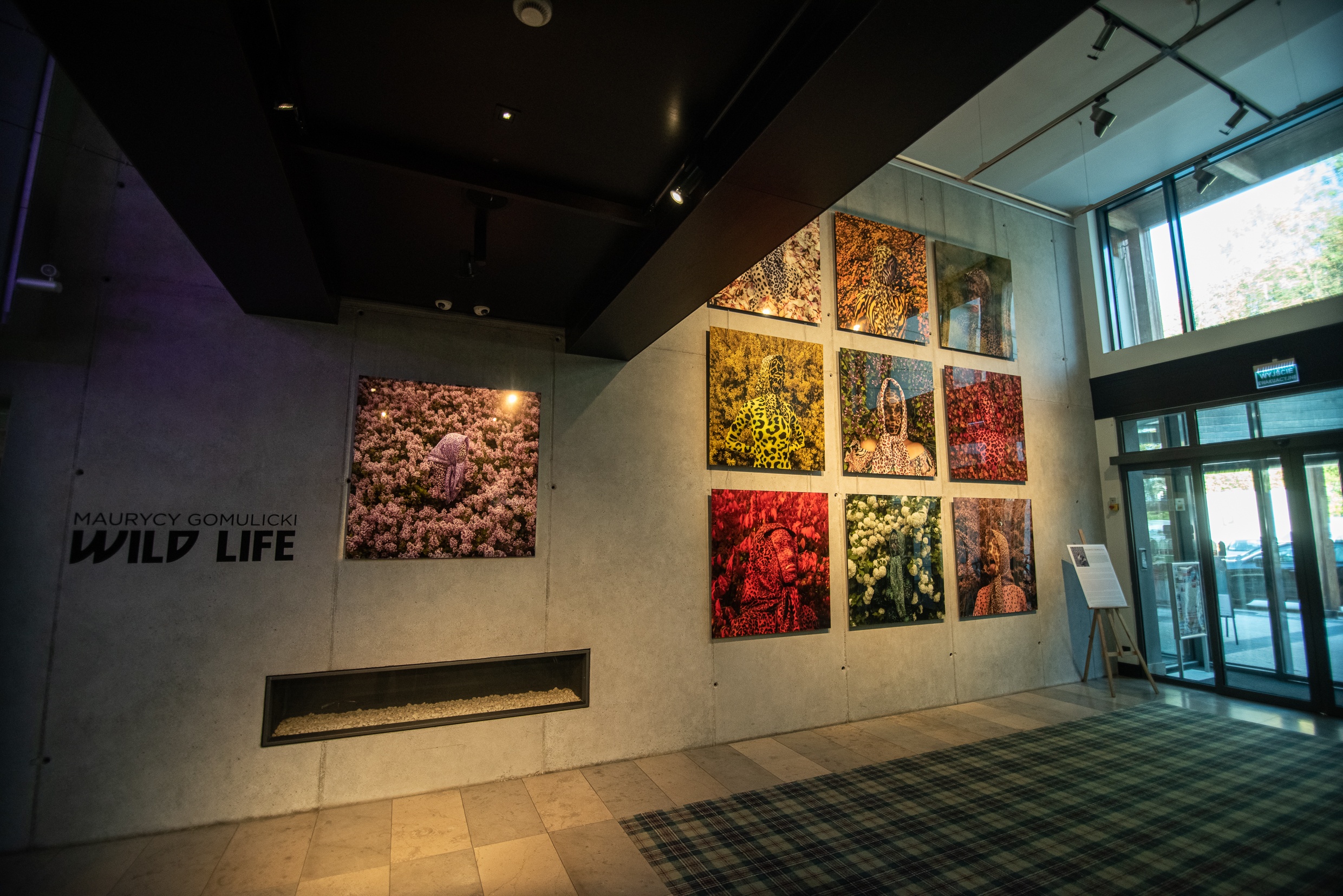 WILD LIFE Maurycy Gomulicki